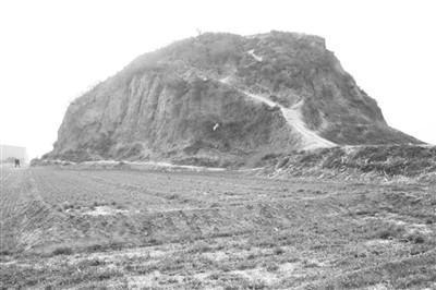 吃瓜娱乐圈 吃瓜信息流以卡片式呈现