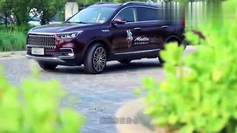 凄视频在线观看