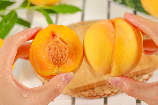 火影忍者温泉 温泉蛋、火影温泉妖怪传说等