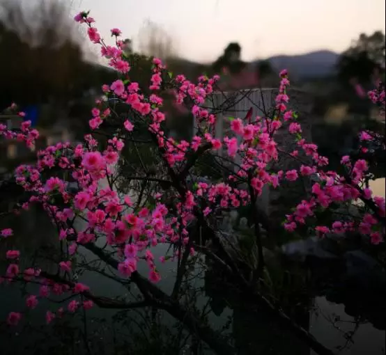 51竞赛 把握报名与赛程节点