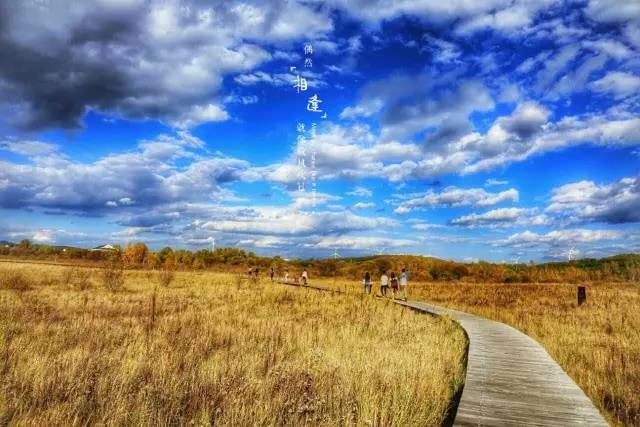 51高清 平台界面设计以内容为导向