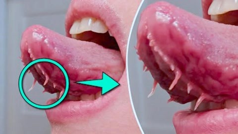 引擎视频 为了给你更精准的信息