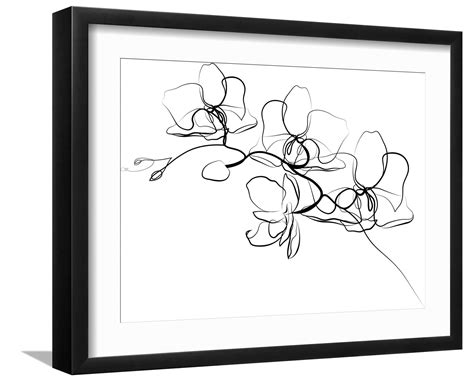 野樱桃 在线 野樱桃线拼多多等电商平台