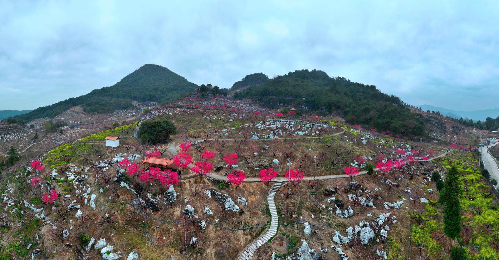 亚洲欧美偷拍视频一区 法律惩罚力度需加强