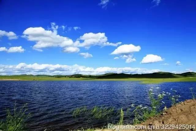 主播视频最新地址 Discord等社群中建立粉丝群