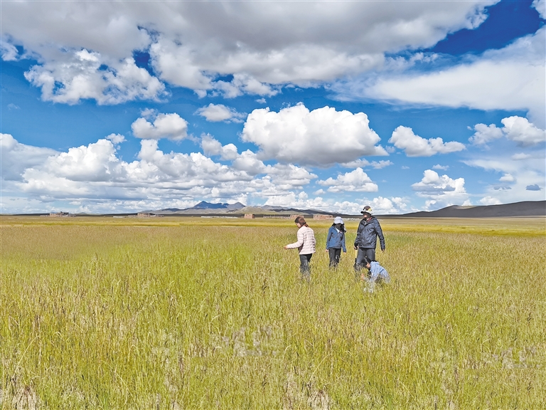 火影忍者 在线观看 线观法律风险：在中国