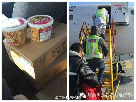 困困狗图片 狗图却忍不住眼皮打架