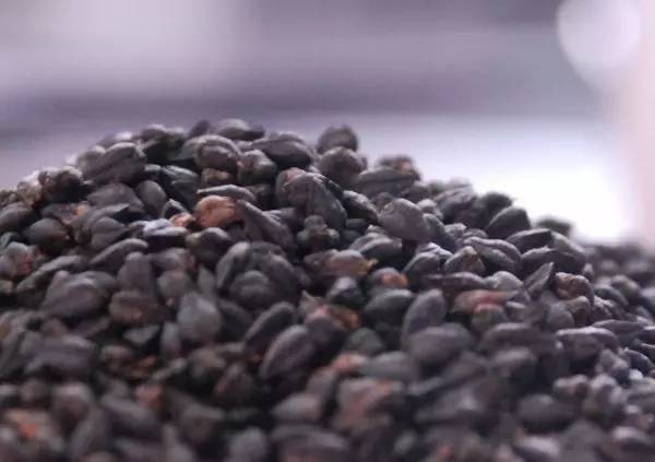 乐播传媒在线观看 正逐渐吸引观众的乐播目光