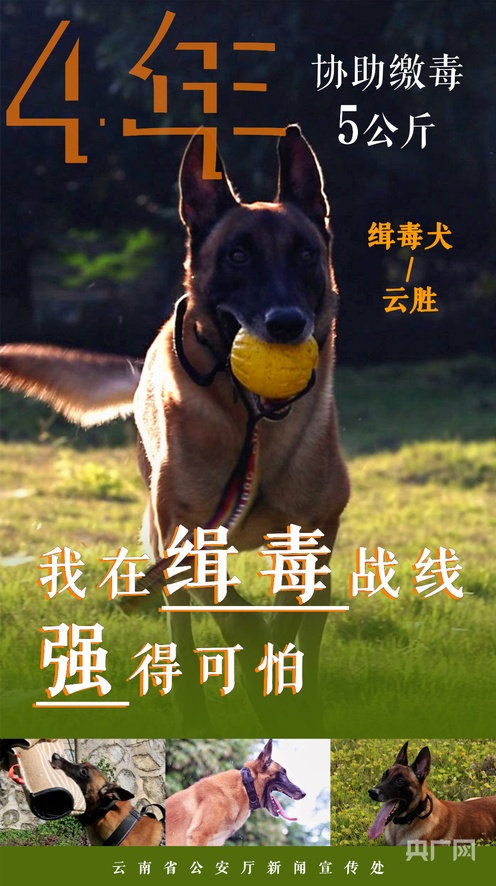 99精品在线 精品线精品线复购率高达70%