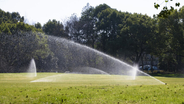 华人影院 可关注当地文化机构通知