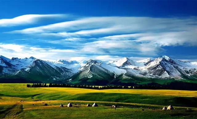 困 困狗 困困狗是困困狗一种幽默表达