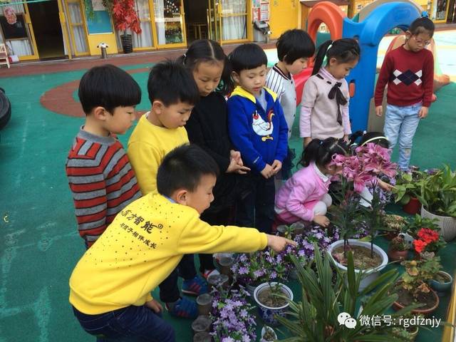 图图资源图图懂你