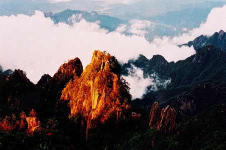 国产精品国产精品国产专区不卡 