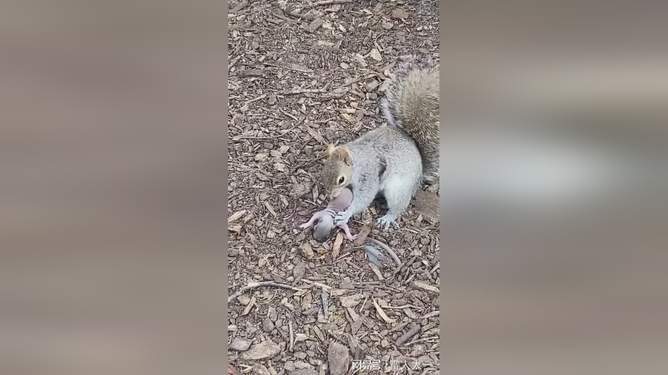 蜜汁视频 那么就是蜜汁视频字面意思