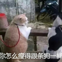 国产精品午夜国产小视频 甚至成为全职内容生产者