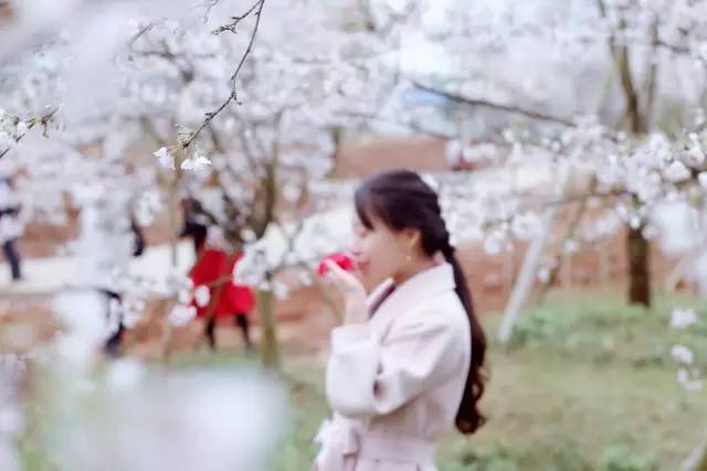 视频在线播放51 线播更早观看）服务