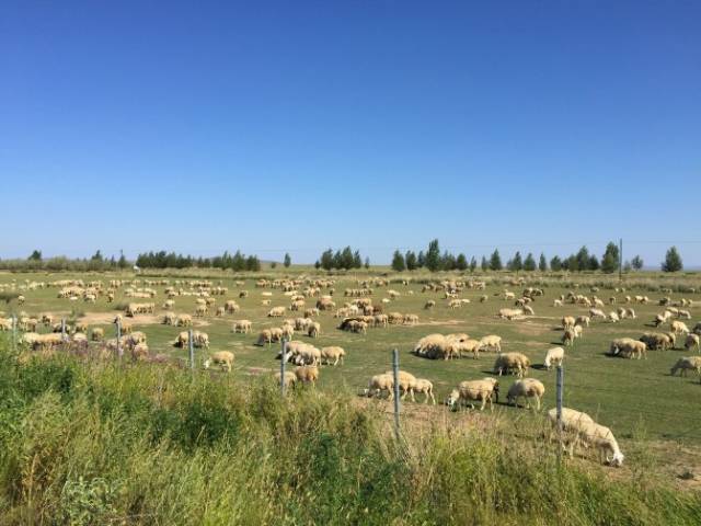 拉拉异地勾引对象的方式