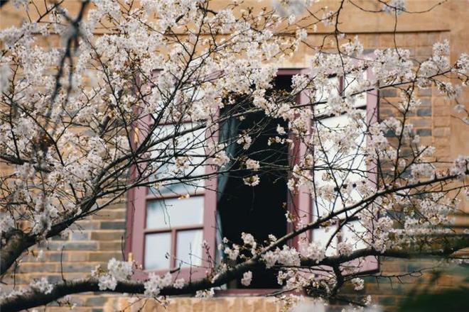 今日吃瓜热门大瓜必看
