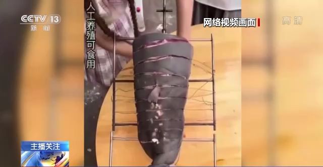 免费电影在线观看影院 免费界面广告控制相对克制