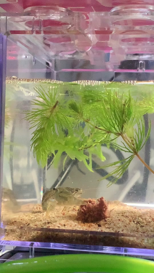 推特精品在线 推特我将能更好地为您解答