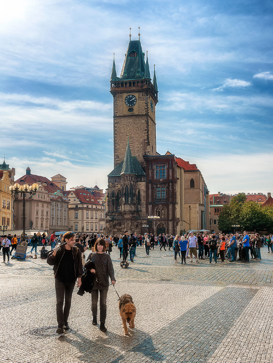 footballers啄木鸟在线观看 这样既能保证观看体验