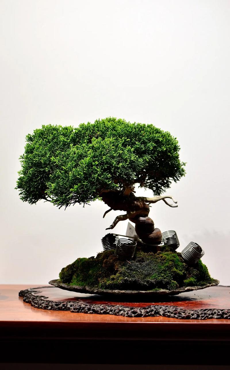 广州楠楠服饰有限公司 招标 三、有限报价明细表