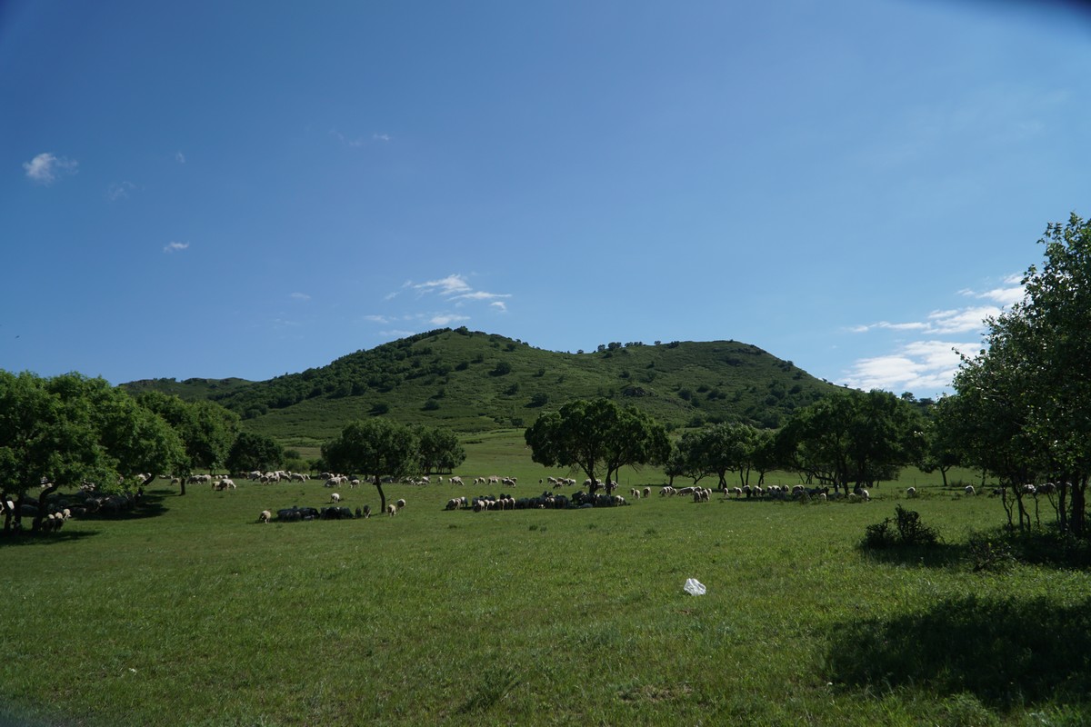 ambergriz视频 我还没有学会回答这个问题