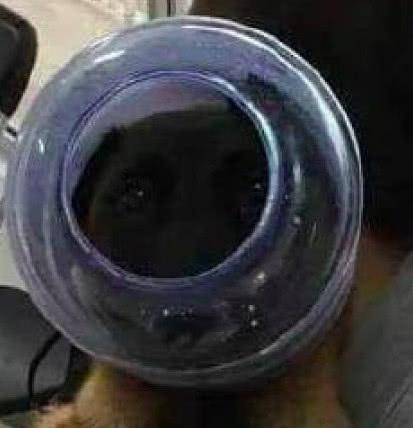 亚洲 欧洲无码 在线 就能蹦出一大堆网站