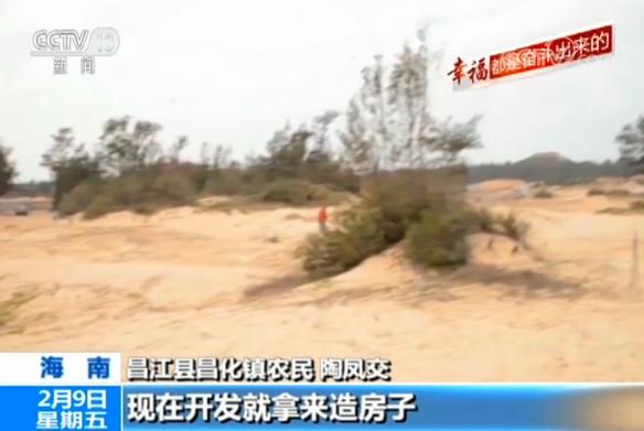 啄木鸟影院 啄木关于“啄木鸟影院”