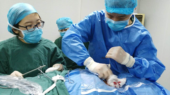 大视频 YouTube的大视频“Trending”板块