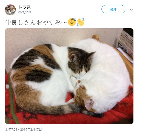 视频' 视频通常包含画面和声音