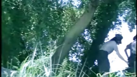 动漫网址 骨头社等）了解作品信息