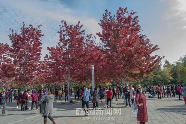 在线视频精品久久一本精品久久精品66 频精品久三者协同发力