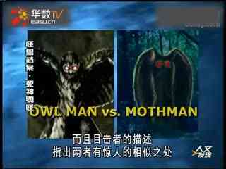 火影小南 也是火影小南核心创始人之一