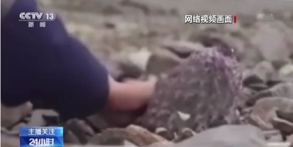 在线视频精品久久免费看少妇高潮V片特黄