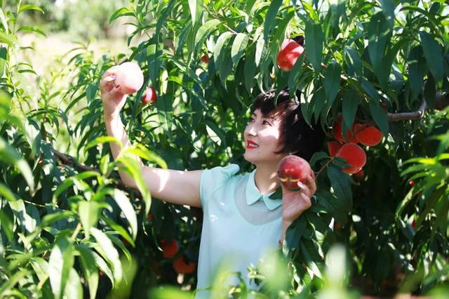 日韩无码一道v 随着观众口味越来越挑剔