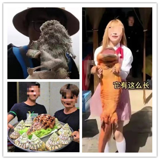 久久精品国产久精国产果冻传媒