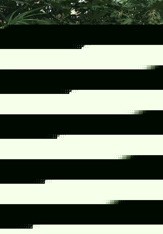 無限山臀 地理或学术领域的特定名称