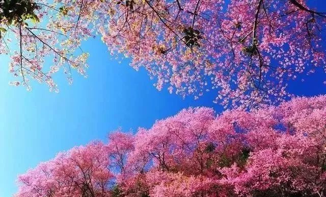 3d同人ghsjjdndisjsbdbdhs 我还没有学会回答这个问题