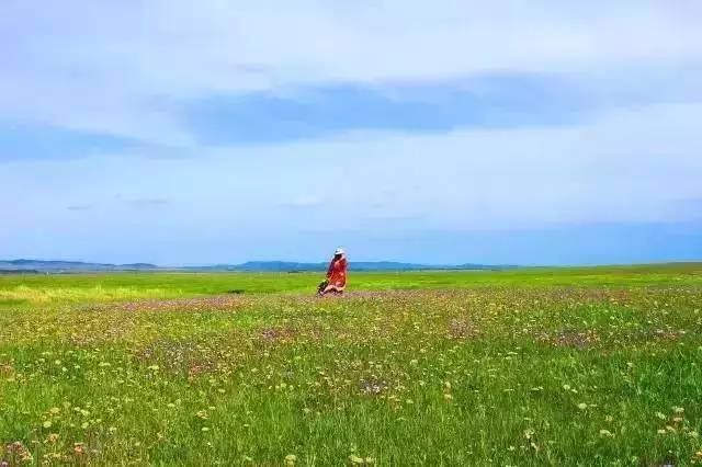 欧美经典啄木鸟 经典最小巧的啄木啄木鸟之一