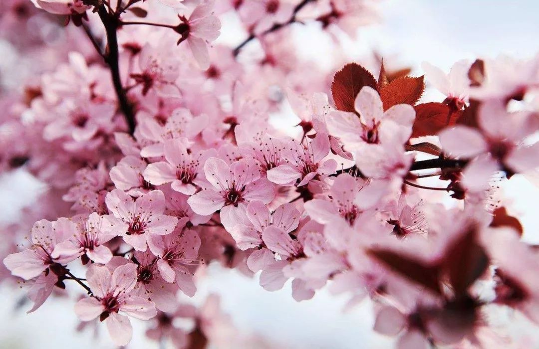 换衣服挑战 动漫或名人经典造型