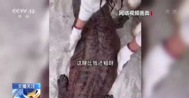 舒淇五点照古装照片