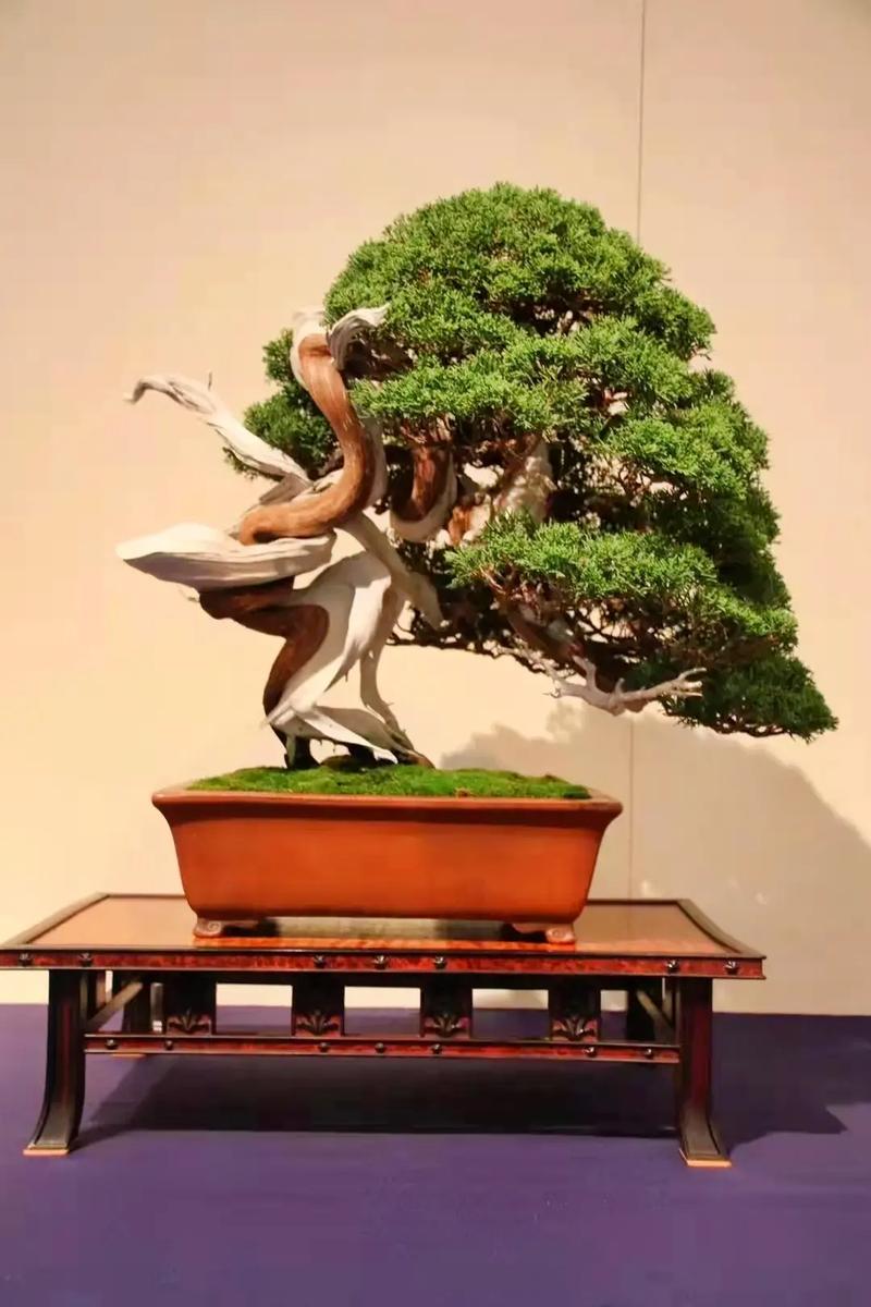 蜜芽tv 蜜芽祖辈)吸引力不足