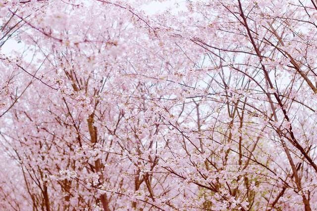 1未成年文 未成年文系未成年人