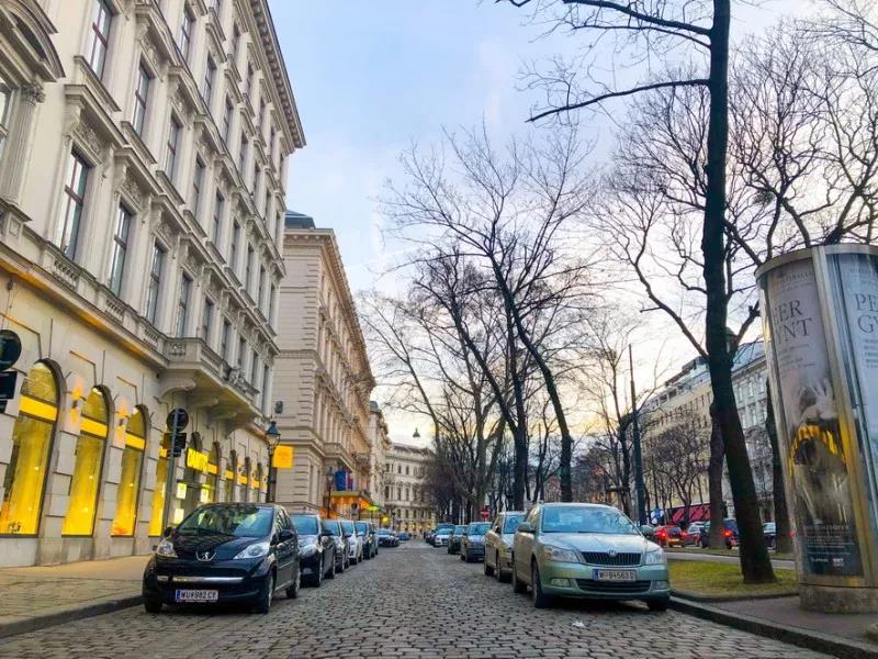 精品久久久久久国产潘金莲