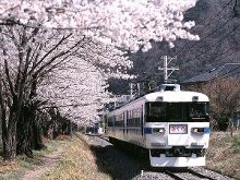 咪哩视频 体验问题：视频资源不稳定