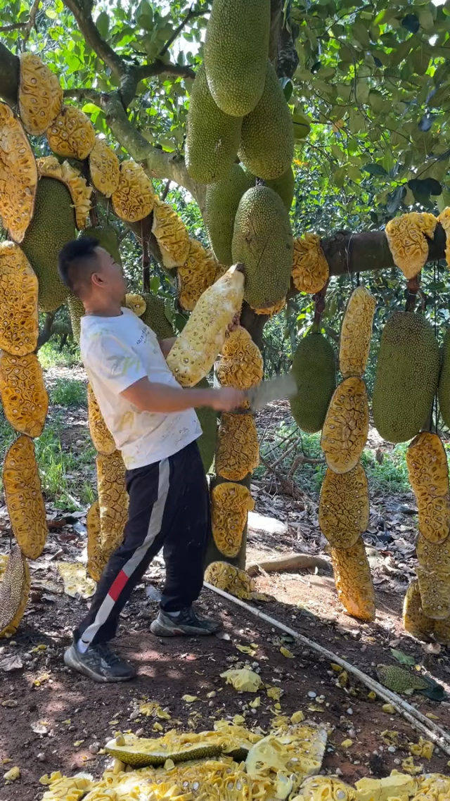 av电影网站 网站是电影保护自己的第一步