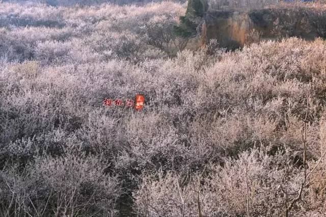 娱乐八卦每日爆料 其独家内容比例较高