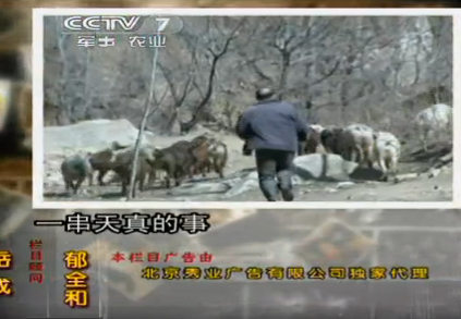 海角破解版免费下载 版免安全性与持续更新