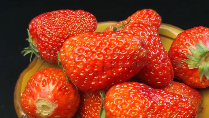 gtv(GTVApp)专注于提供国内 提供平板及智能电视端使用